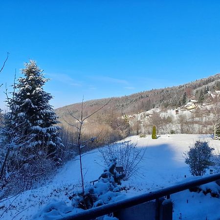 Apartamento Schwarzwald Pur Sasbachwalden Exterior foto