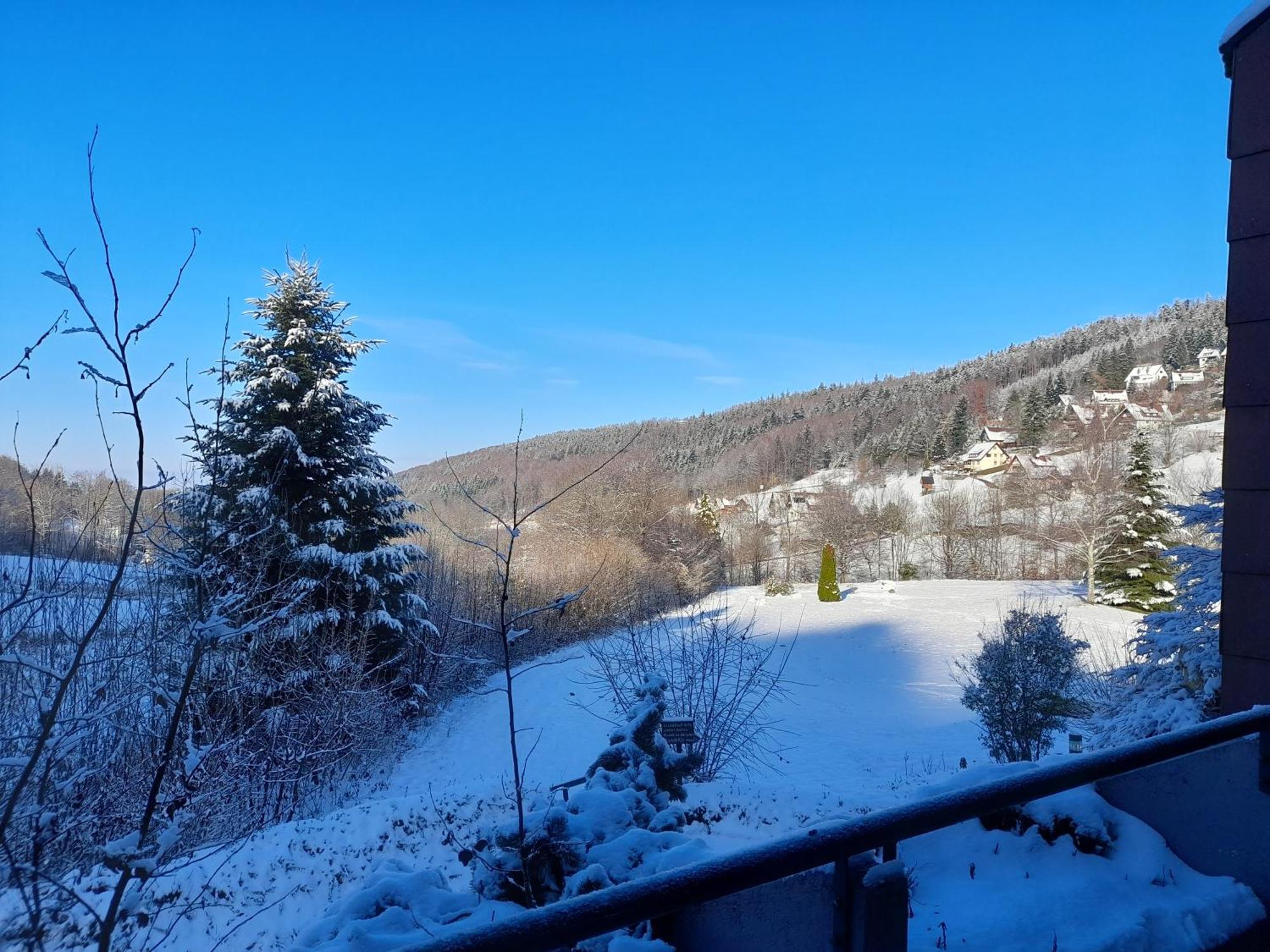 Apartamento Schwarzwald Pur Sasbachwalden Exterior foto