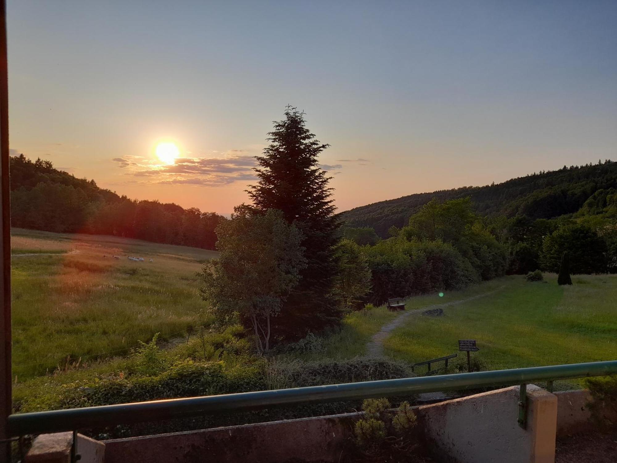 Apartamento Schwarzwald Pur Sasbachwalden Exterior foto