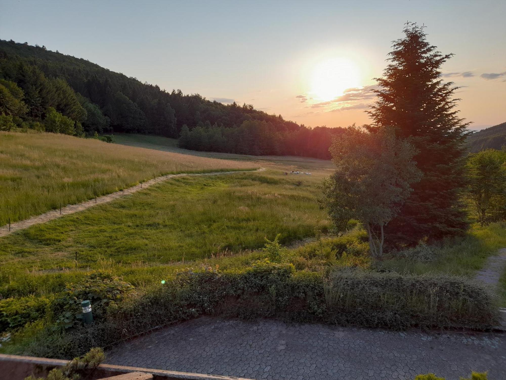 Apartamento Schwarzwald Pur Sasbachwalden Exterior foto